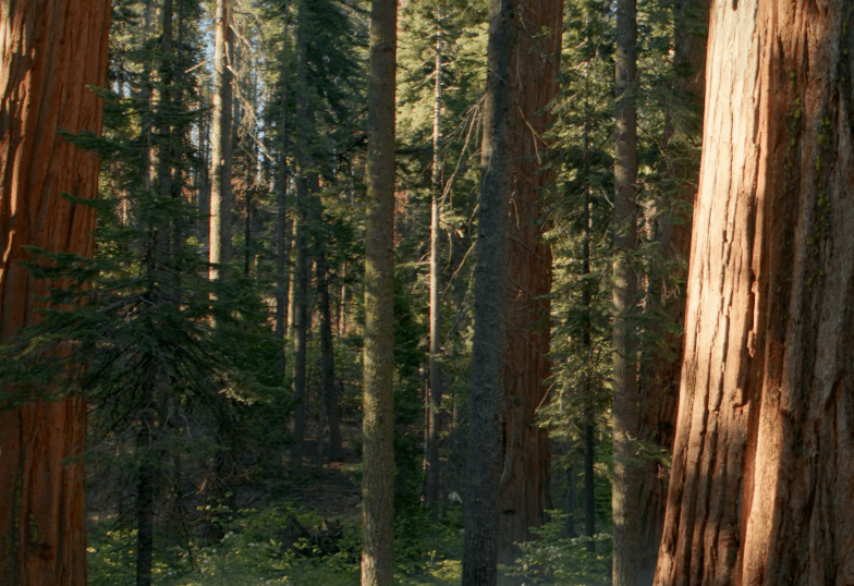 ログミー株式会社 test